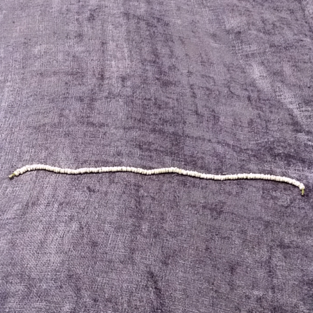 Puka Shell Necklace - Picture 2 of 2